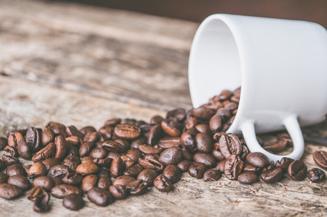 Single Origin